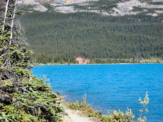 Crowfoot Mtn Alpine Climb
