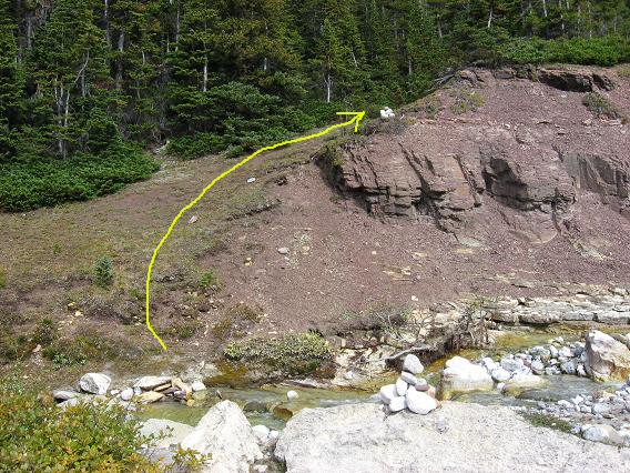 Crowfoot Mtn Alpine Climb