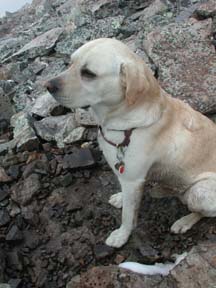 Quandary Peak Mascot